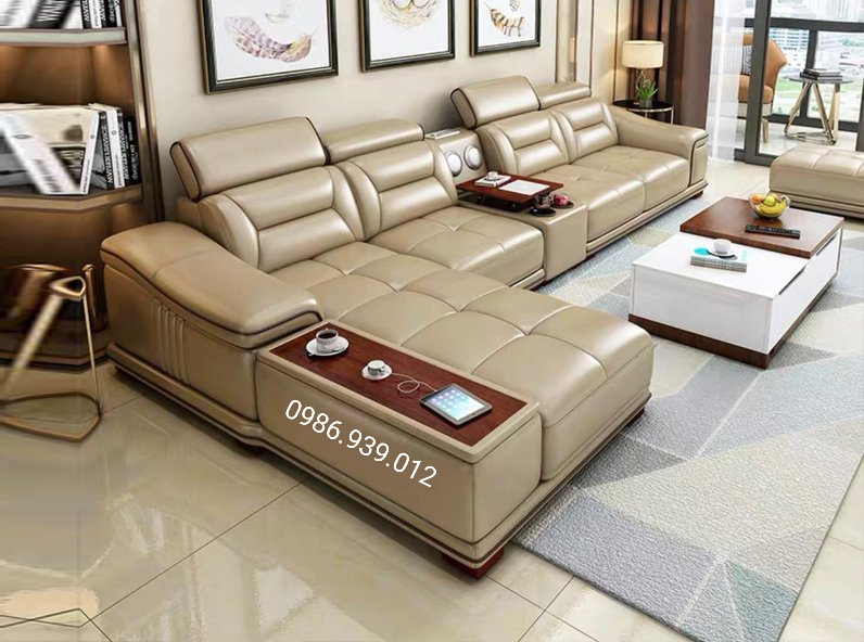 Sofa cao cấp-29
